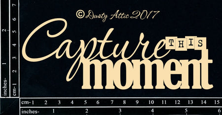 Dusty Attic - Capture This Moment