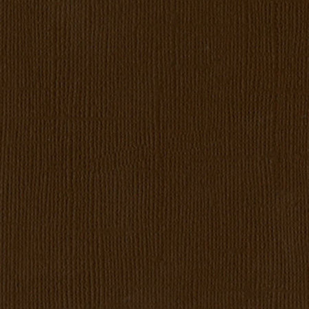 Bazzill 12x12 Chocolate
