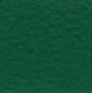 Bazzill 12x12 Classic Green