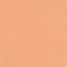 Bazzill 12x12 Clementine