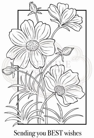 Woodware Clear Magic Stamp Set - Cosmos Collection