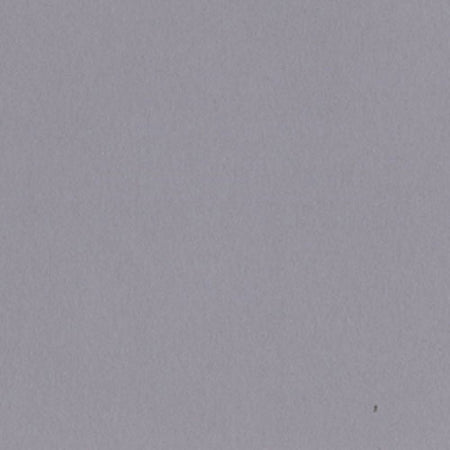 Bazzill 12x12 Date Swirl