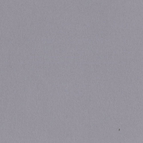 Bazzill 12x12 Date Swirl