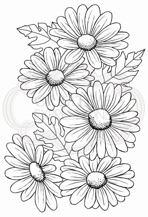 Woodware Clear Magic Stamp Set - Five Daisies