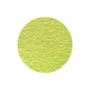 Shimmerz Paints - Vibez Frogget Me Not