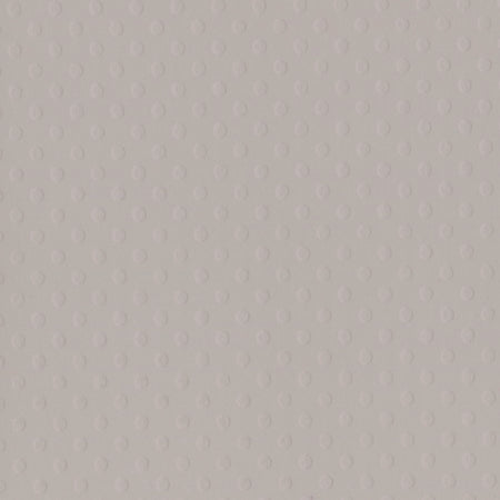 Bazzill 12x12 Dotted Swiss - Front Porch