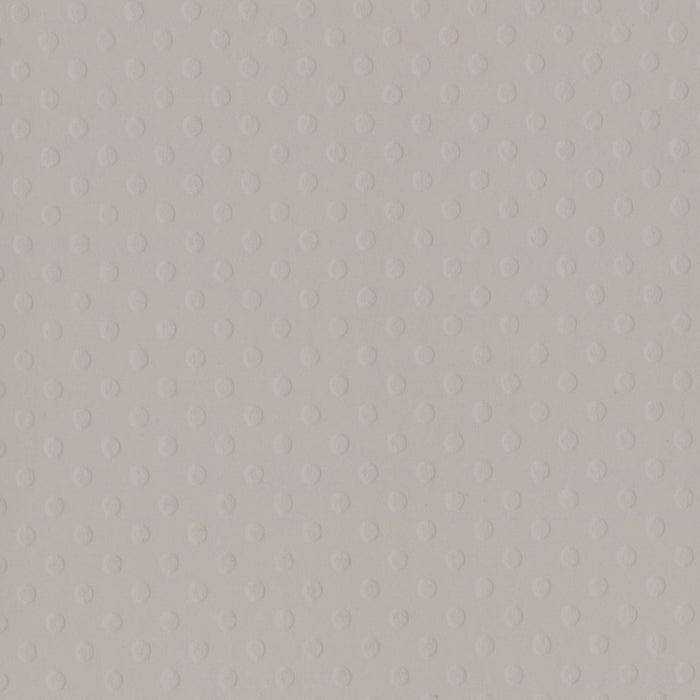 Bazzill 12x12 Dotted Swiss - Front Porch