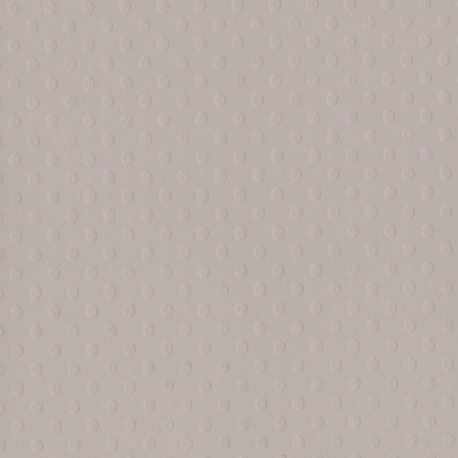 Bazzill 12x12 Dotted Swiss - Front Porch