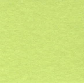 Bazzill 12x12 Frosted Kiwi