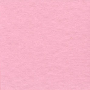 Bazzill 12x12 Frosted Pink