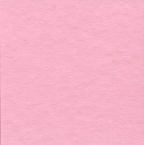 Bazzill 12x12 Frosted Pink