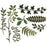 Sizzix Tim Holtz Alterations Thinlits Die Set - Garden Greens