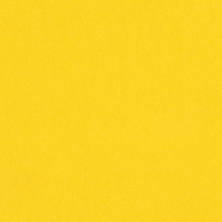 Bazzill 12x12 Grapefruit Bliss