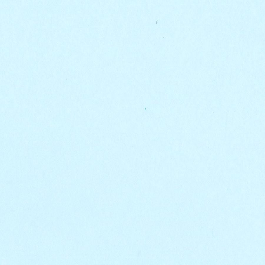 Bazzill 12x12 Card Shoppe Heavyweight Bazzill - Icy Mint