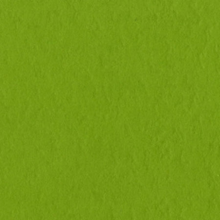 Bazzill 12x12 Intense Kiwi