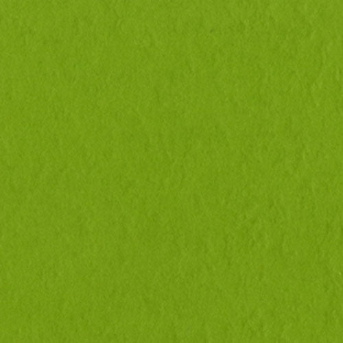 Bazzill 12x12 Intense Kiwi