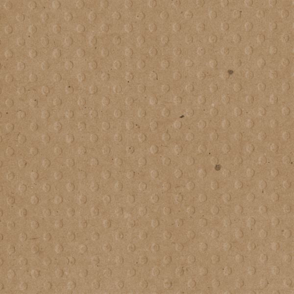 Bazzill 12x12 Dotted Swiss - Kraft