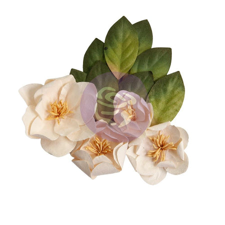 Prima Magnolia Rouge - Peaceful Magnolia Flowers