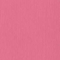 Bazzill 12x12 Piglet