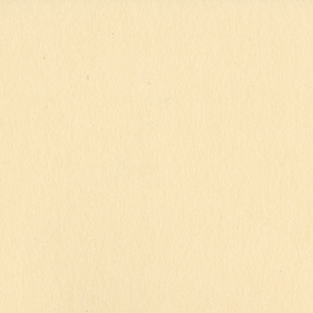 Bazzill 12x12 Pigment