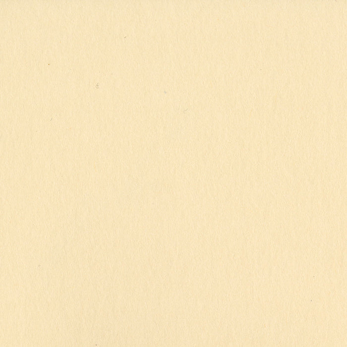 Bazzill 12x12 Pigment