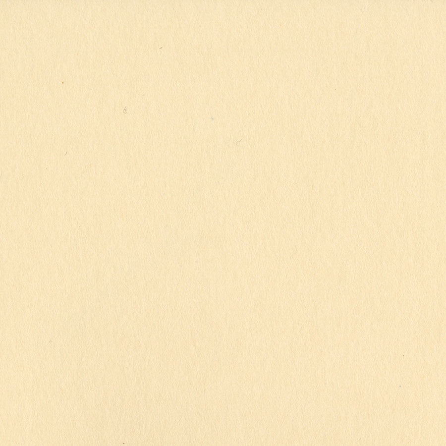 Bazzill 12x12 Pigment