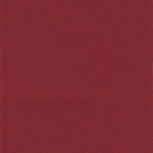 Bazzill 12x12 Pomegranate Splash