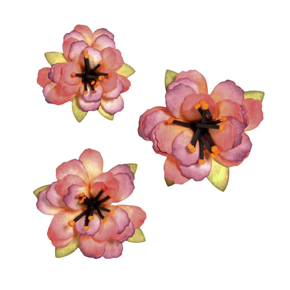 Spellbinders Shapeabilities - Rolled Flowers