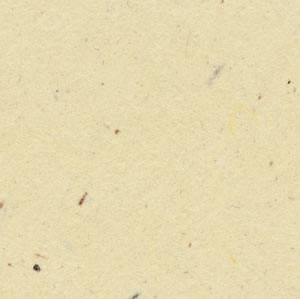 Bazzill 12x12 Sawdust