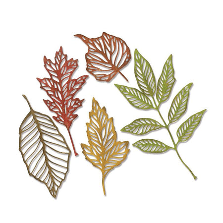 Sizzix Tim Holtz Alterations Thinlits Die - Skeleton Leaves