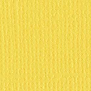 Bazzill 12x12 Sunbeam