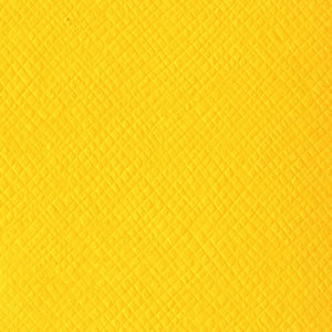 Bazzill 12x12 Sunshine CC