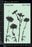 Dusty Attic Stencil - Wildflowers #1